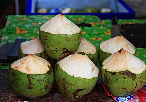 Coconut import customs clearance process