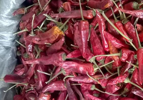 Imported Indian chilies dried customs inspection