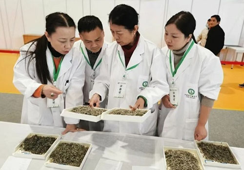 海關增加出口茶葉農殘檢測項目