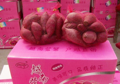 越南紫薯進口到國內