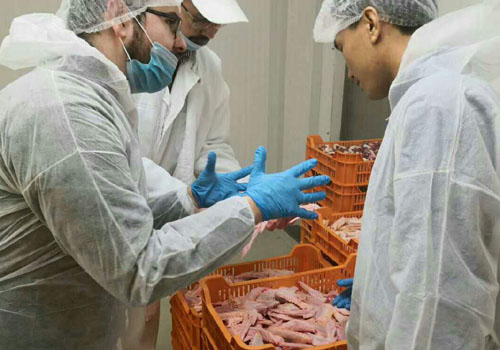進口肉類産品現場配合海關查驗