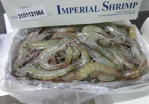 厄瓜多爾白蝦是蝦界中的的“白富美”
