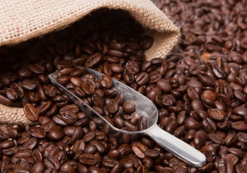 進口咖啡豆規範申報