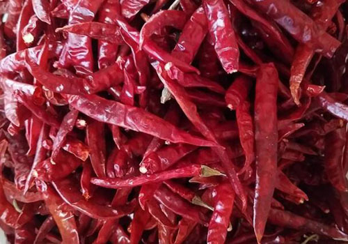 Dry Indian chili customs clearance